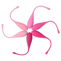 LESLIE KEGEL FIT PELVIC MUSCLE TRAINING SET 6 PCS