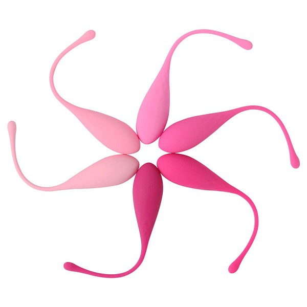 LESLIE KEGEL FIT PELVIC MUSCLE TRAINING SET 6 PCS